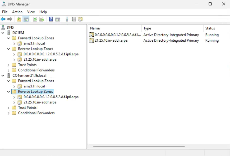 DNS forward lookup zone